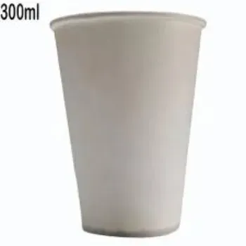 Coated Finished Paper Glasses